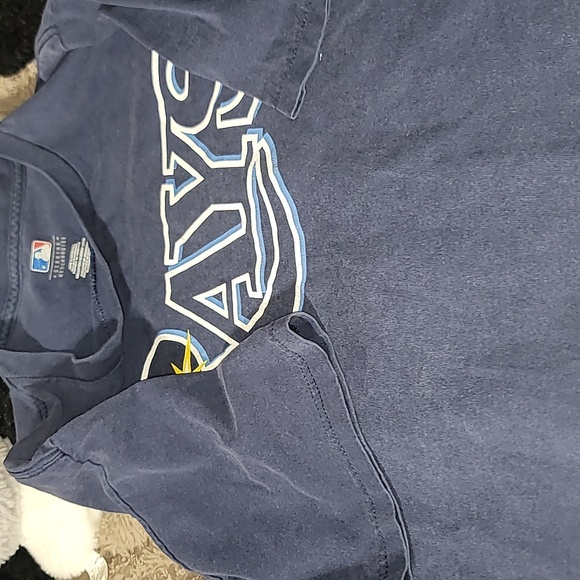 Tampa Bay Rays - Picture 5 of 7